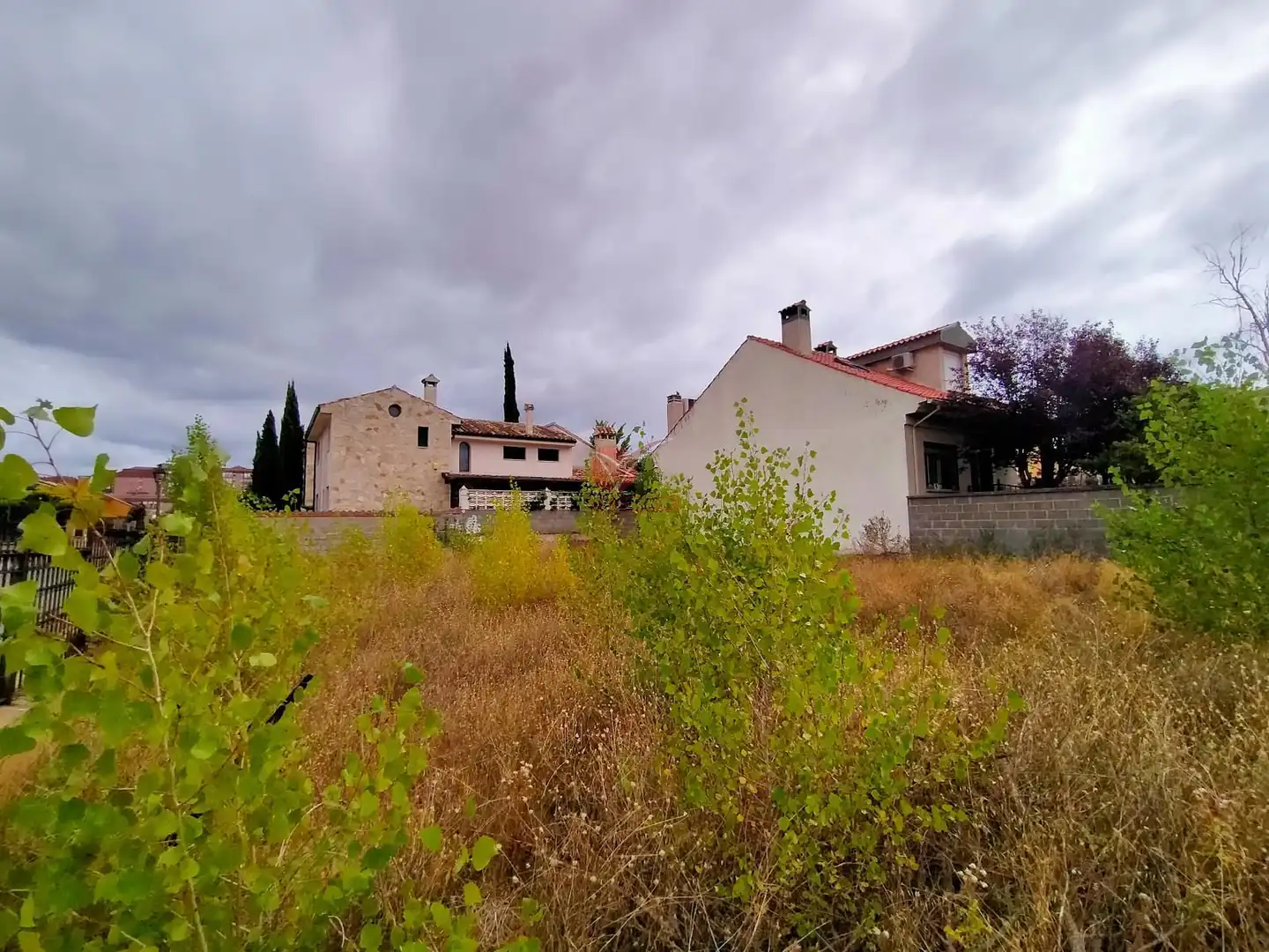 Rural land for sale in LOS OLIVOS, imagen 10