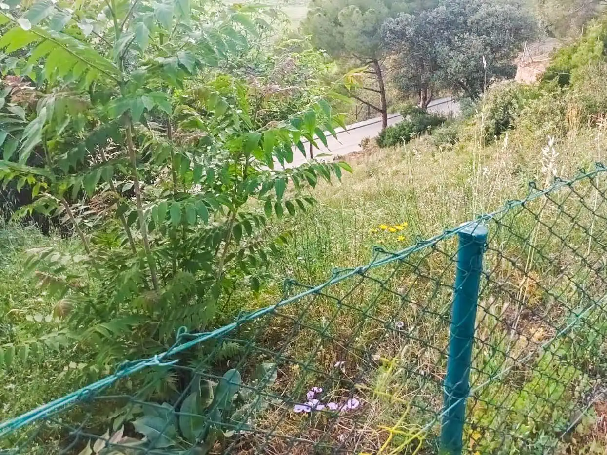 Terreny residencial en venda a Abrera, imagen 8