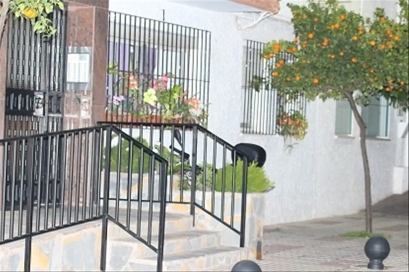 Habitatge amb jardí en venda a Calle Eucalipto 3