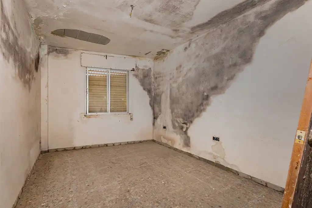 Appartamento in vendita a Constitucion, imagen 13