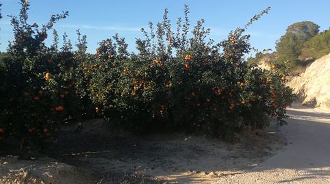 Foto 2 de Terreno en venta en Calle Orihuela, 13, Orea, Guadalajara