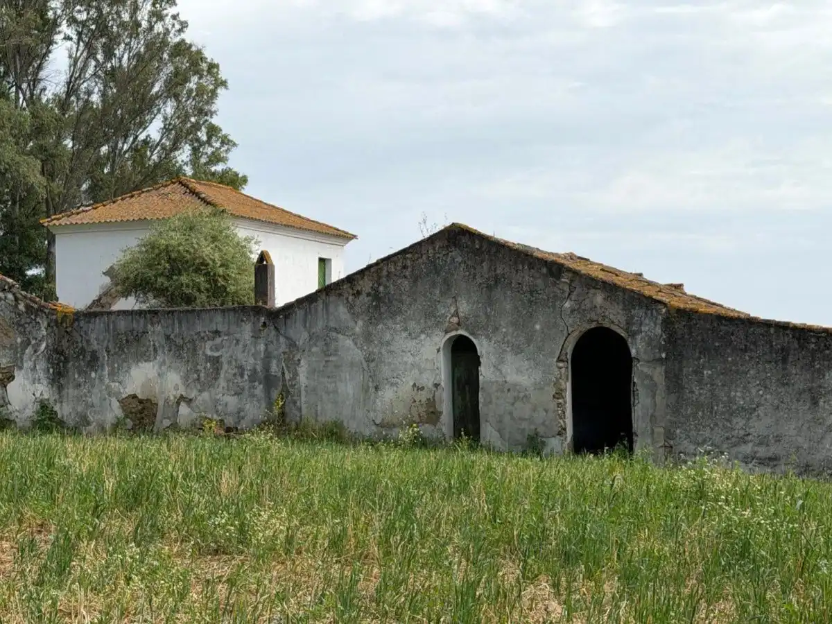 Vista exterior de Finca rústica en venta en Jimena de la Frontera con Terraza