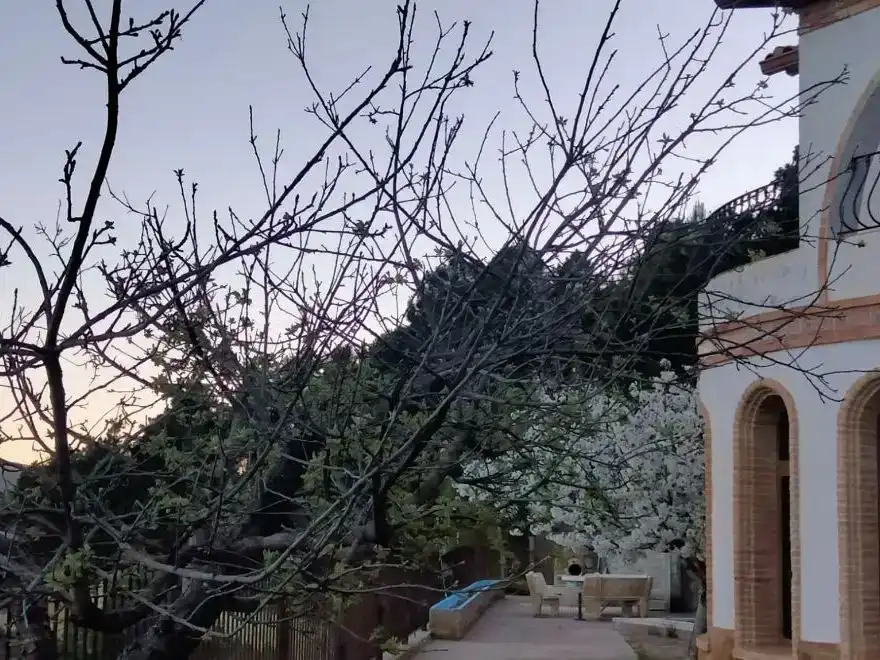 Jardín de Casa o chalet en venta en Yeste con Aire acondicionado, Jardín privado y Piscina