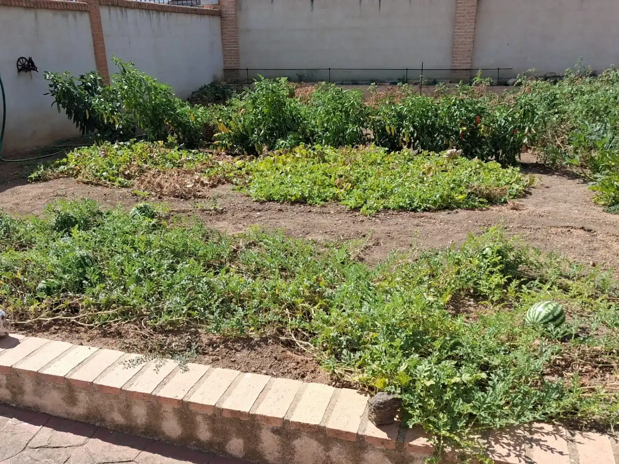 Jardí de Casa o xalet en venda en Villamiel de Toledo amb Aire condicionat, Terrassa i Balcó
