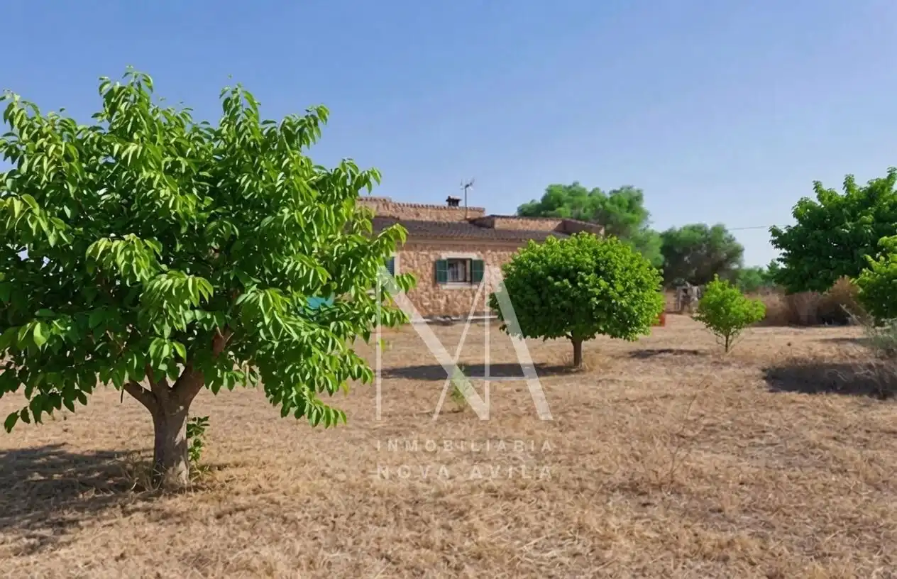 Country house with garden for sale in Llucmajor pueblo, imagen 19