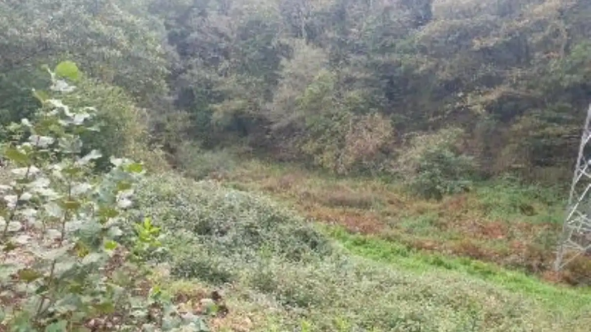 Terreno rustico in vendita a Lugar Carrionina, imagen 10
