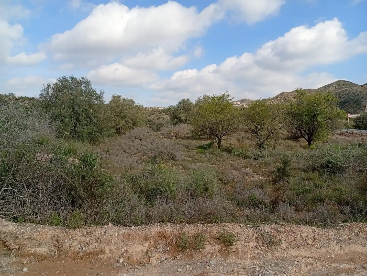 Terreny en venda a Rambla La Higuera, Albox