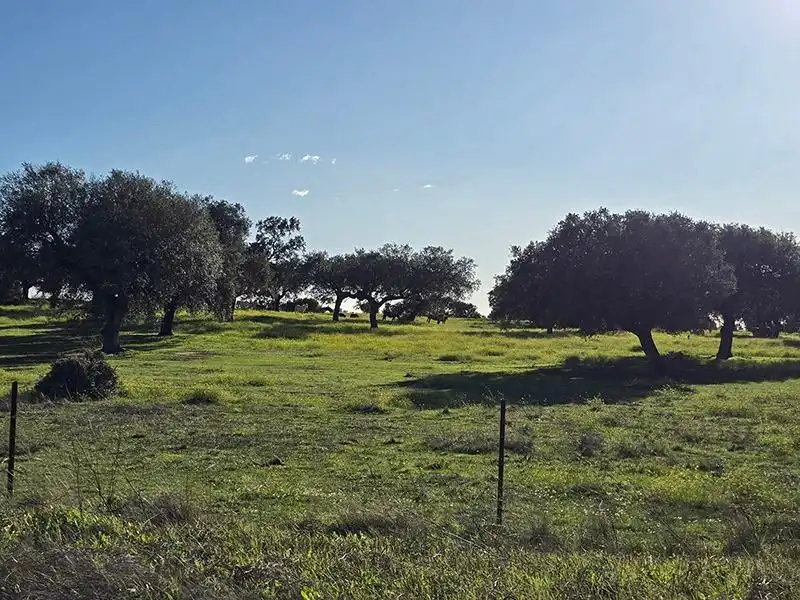 Terreni e lotti in vendita a Ceres Golf, imagen 4