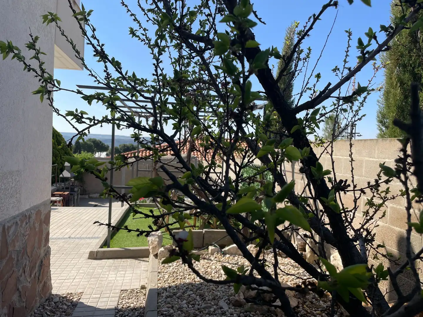 Jardín de Casa o chalet en venta en Colmenar de Oreja con Aire acondicionado, Calefacción y Jardín privado