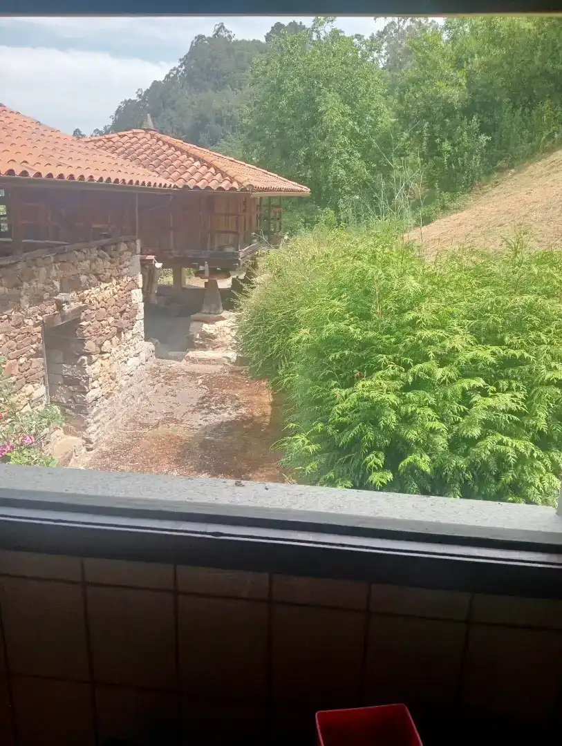 Country homes for sale in Salas