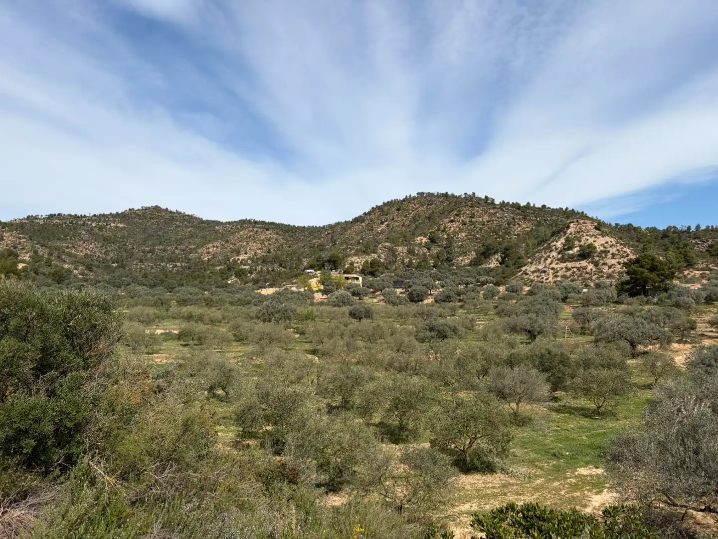 Finca rústica en venta en Flix