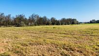 Country house for sale in Llubí  with Private garden