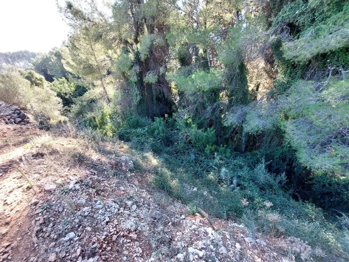 Terreny rústic en venda a Tormos, imagen 10