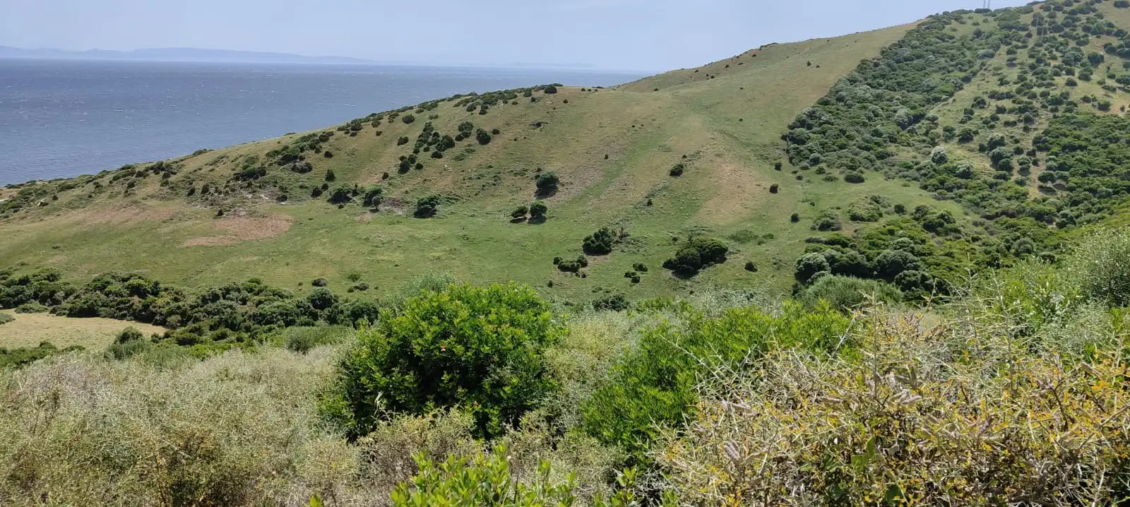 Terreni e lotti in vendita a Lugar Guadalmesi, imagen 28