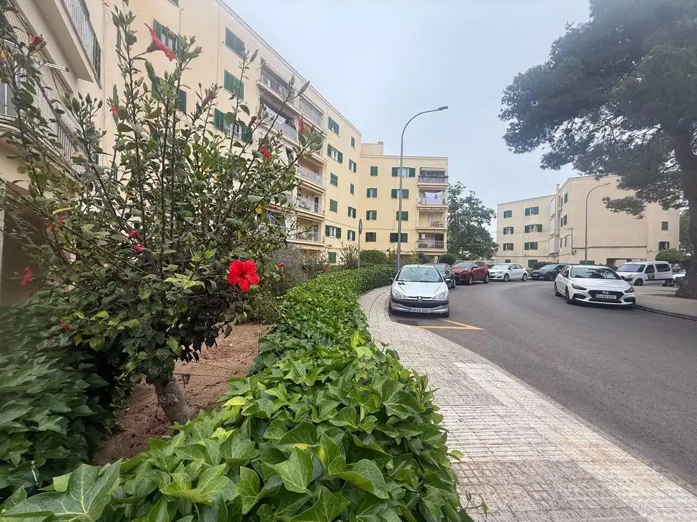 Vista exterior de Apartamento en venta en  Palma de Mallorca con Aire acondicionado