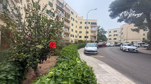 Photo 5 of Apartments for sale in Mare de Déu de Lluc, Palma de Mallorca
