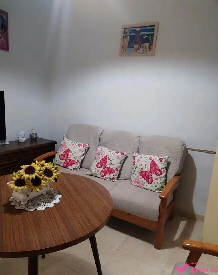 Sala de estar de Planta baja de alquiler en Granada con Amueblado