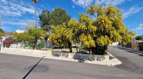 Foto 5 de Finca rústica en venda a Algorfa, Alicante