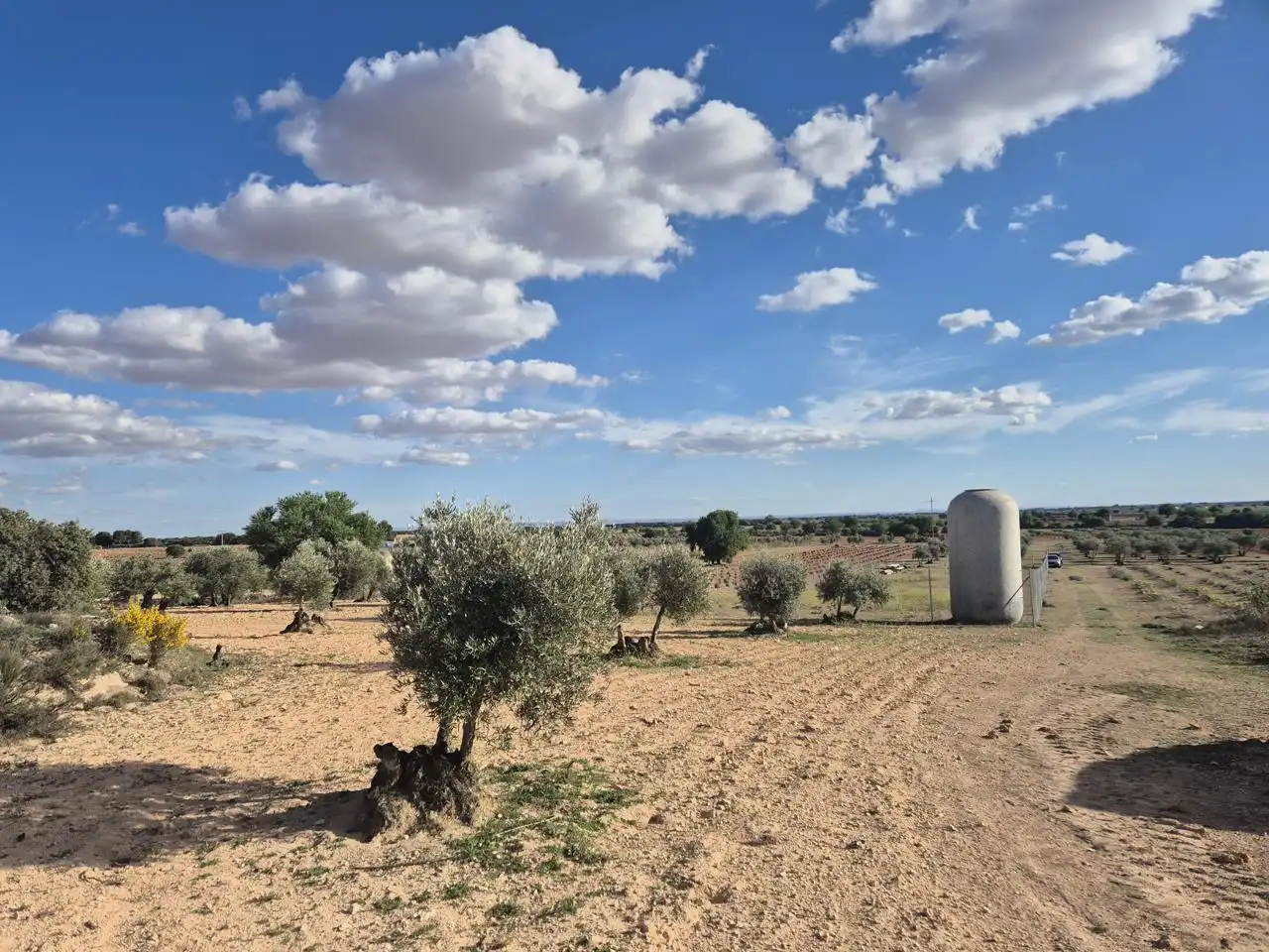 Rustikales Grundstück zum Verkauf in Ctra. Las Mesas, imagen 7