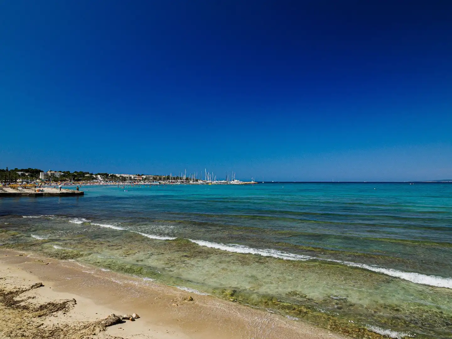 Vista exterior de Piso en venta en  Palma de Mallorca con Aire acondicionado, Calefacción y Terraza
