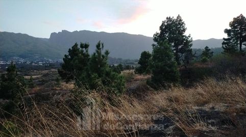 Photo 4 of Residential for sale in El Paso, Santa Cruz de Tenerife