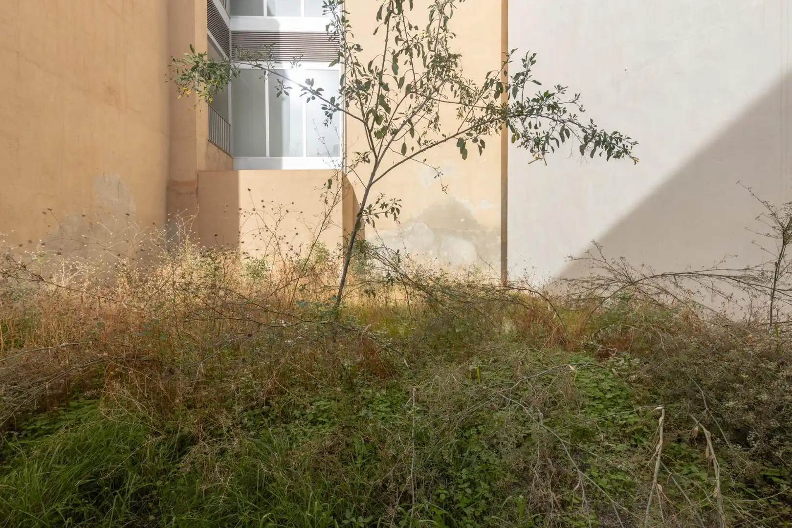 Terreny residencial en venda a Plaza Javier de Burgos 4, imagen 10