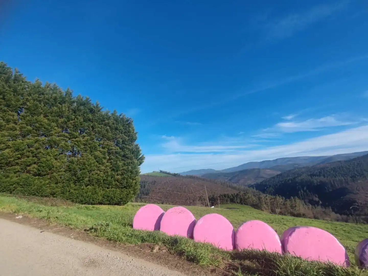 Wohnbaugrundstück zum Verkauf in REIRIZ, imagen 3
