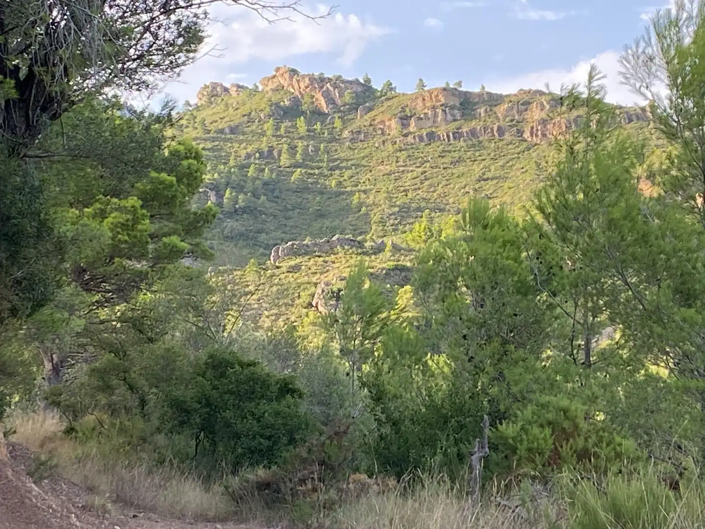 Terrain rustique à vendre à Alfara de Carles, imagen 11