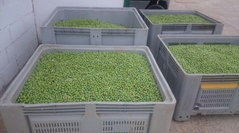 Foto 2 von Fabrikhallen zum Verkauf in Calle Hernán Cortés, 21, Gata, Cáceres