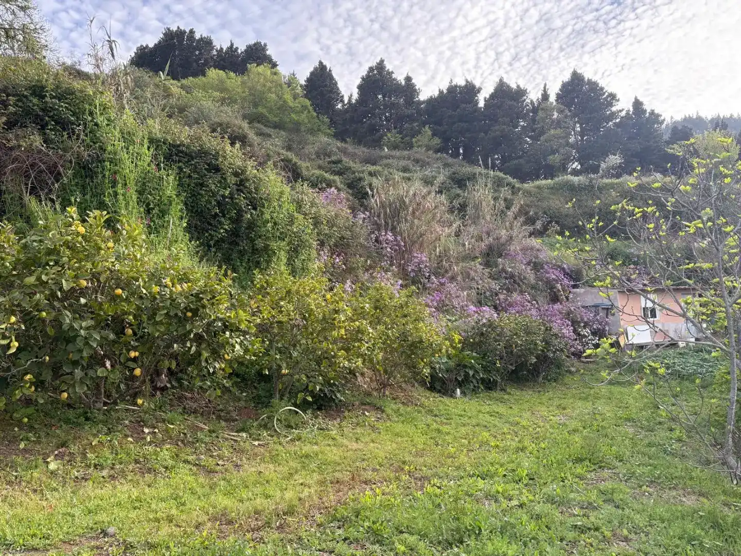 Pis en venda en Valleseco