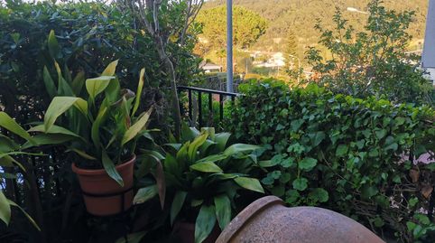 Foto 2 de Planta baja en venta en Torrelles de Llobregat, Barcelona