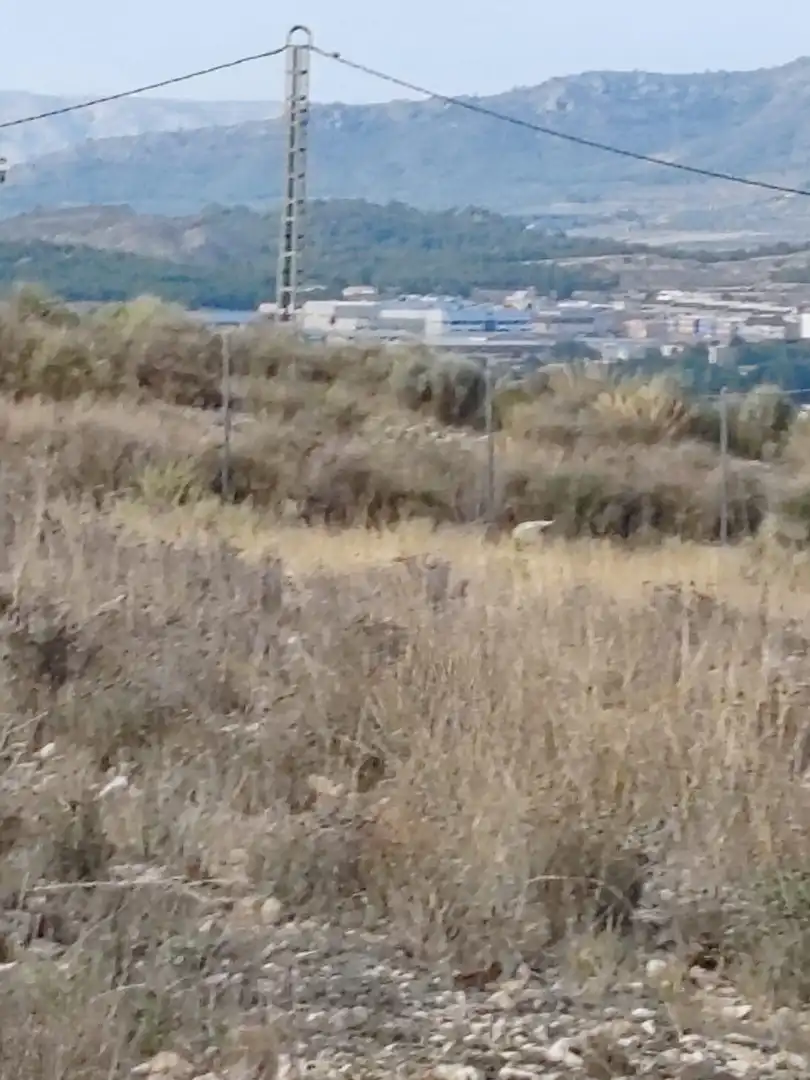 Terreno rustico in vendita a San Crispín - Huerta Nueva-Estación, imagen 7