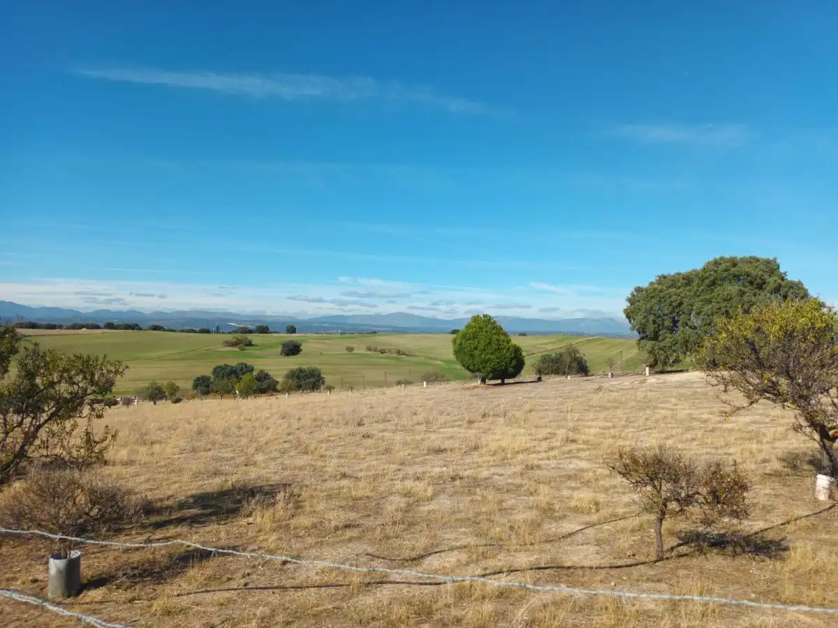 Finca rústica en venta en Brunete