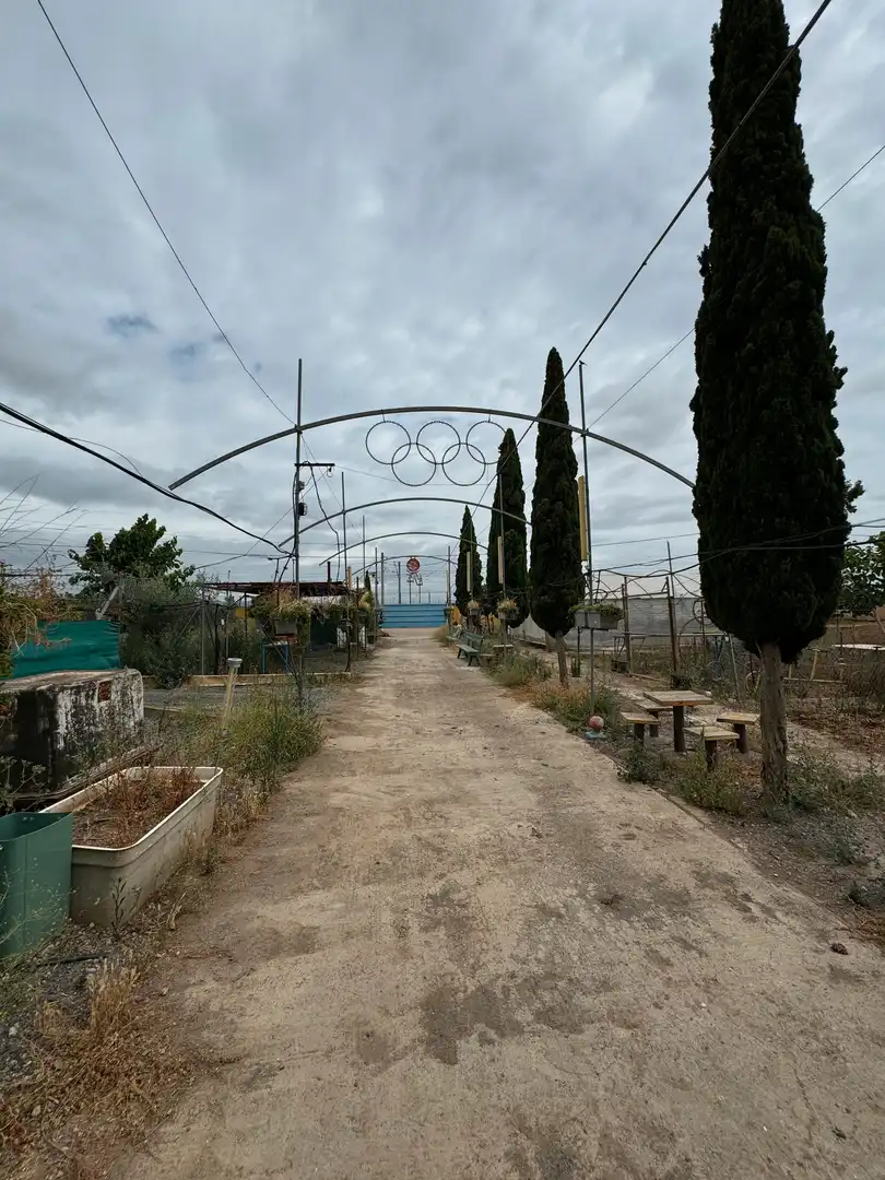 Terreni e lotti in vendita a Cantillana, imagen 19