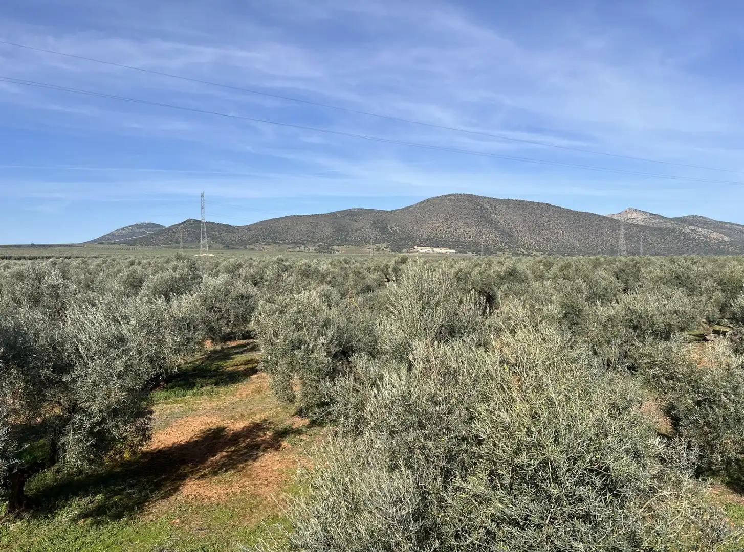 Land for sale in La Roda de Andalucía