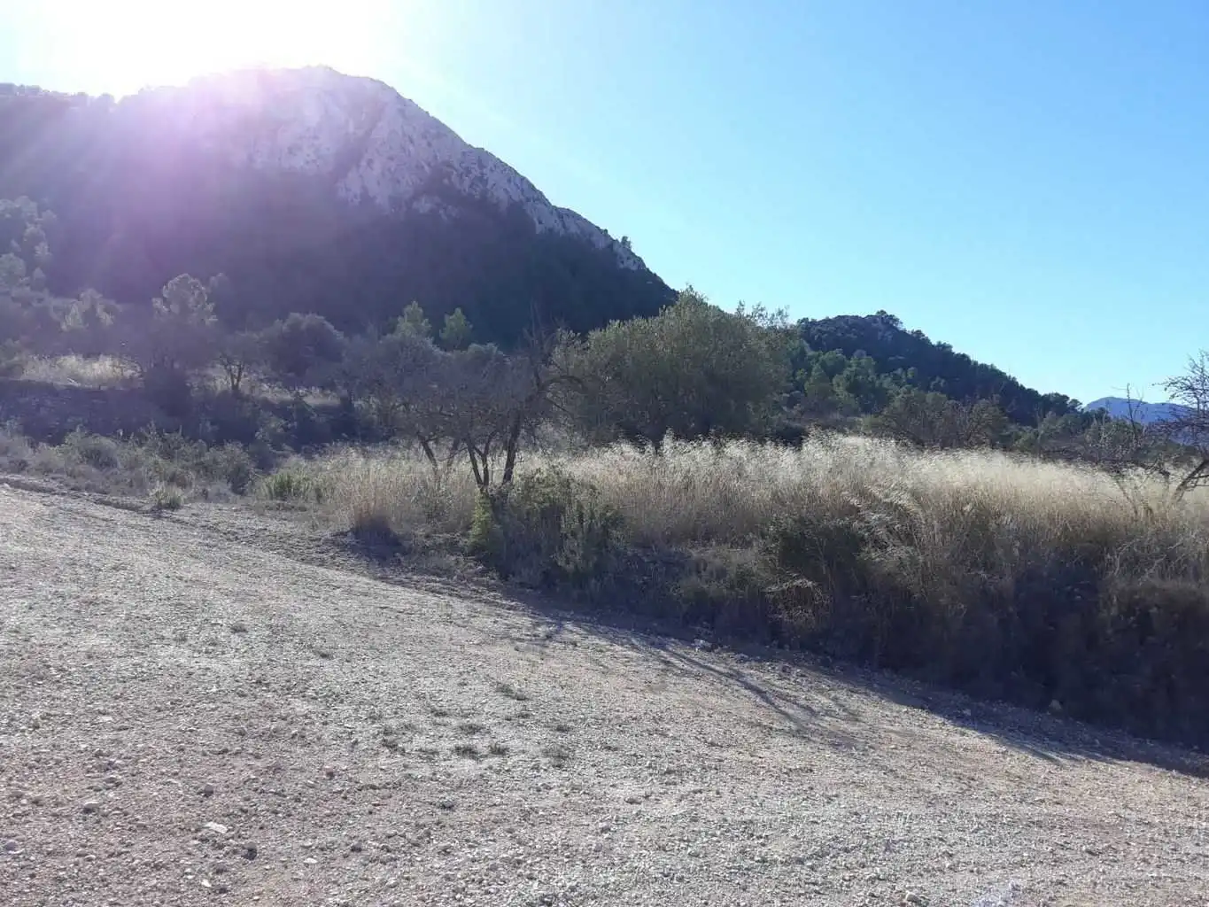 Terrenys i solars en venda a Abanilla, imagen 2