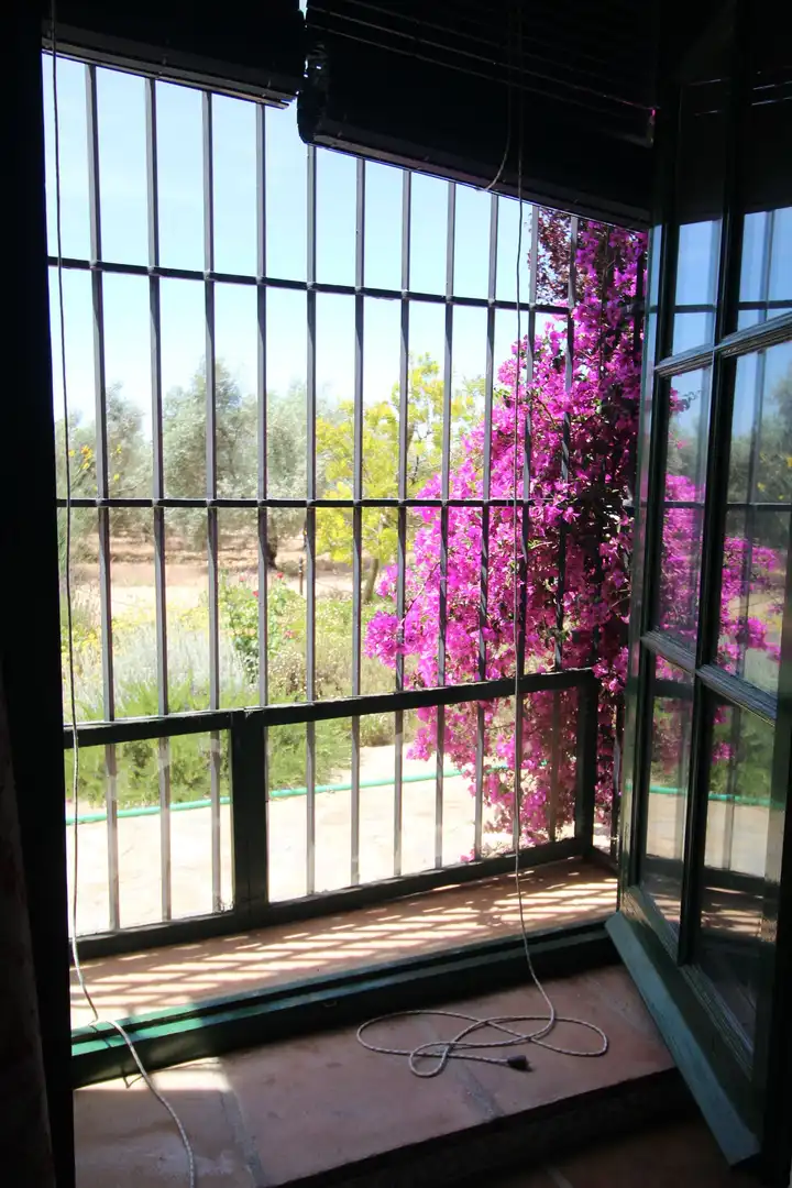 Casa rústica amb jardí en venda a partido romeral, imagen 26