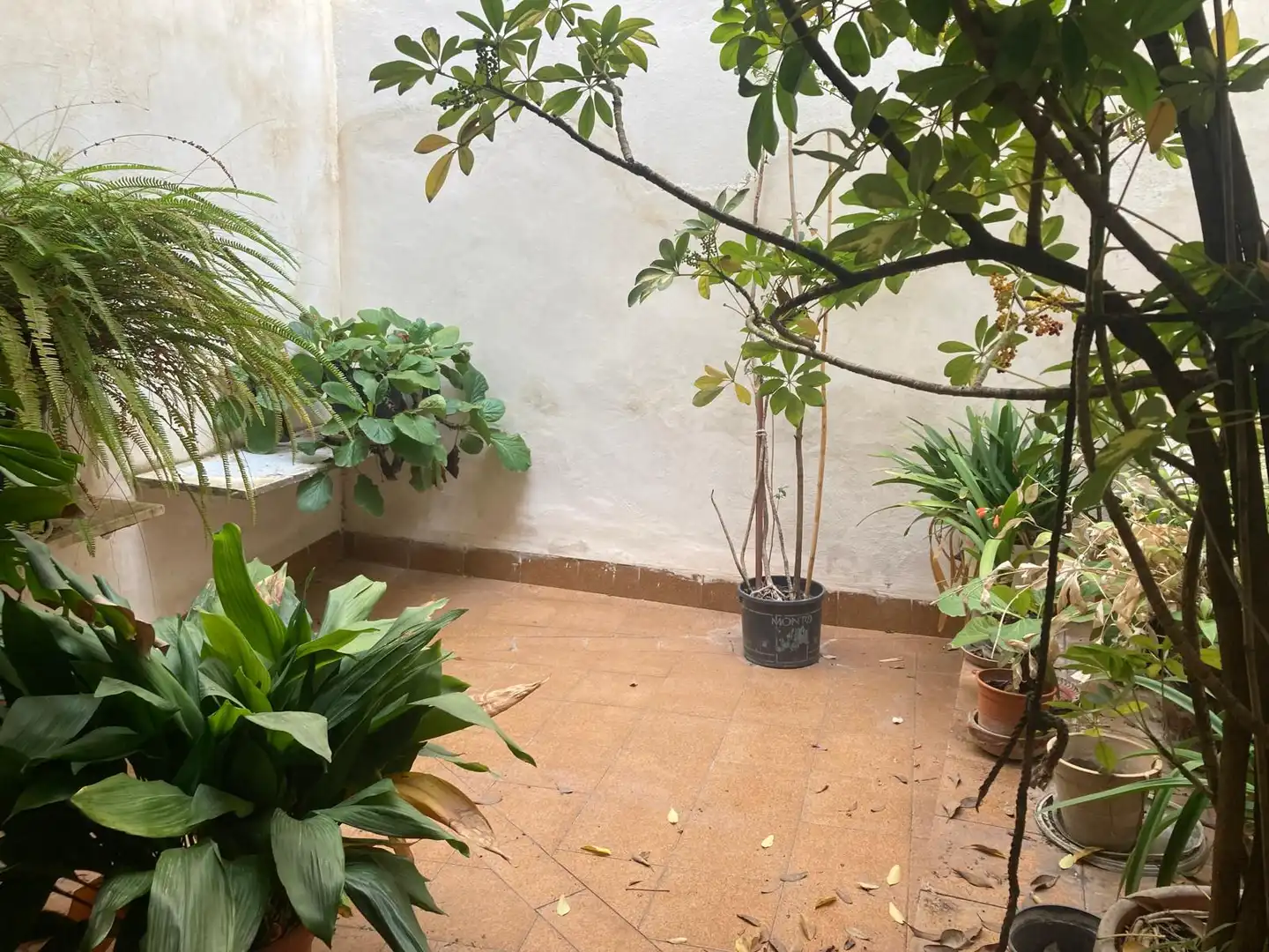 Maison à vendre à Carrer saúc, imagen 15