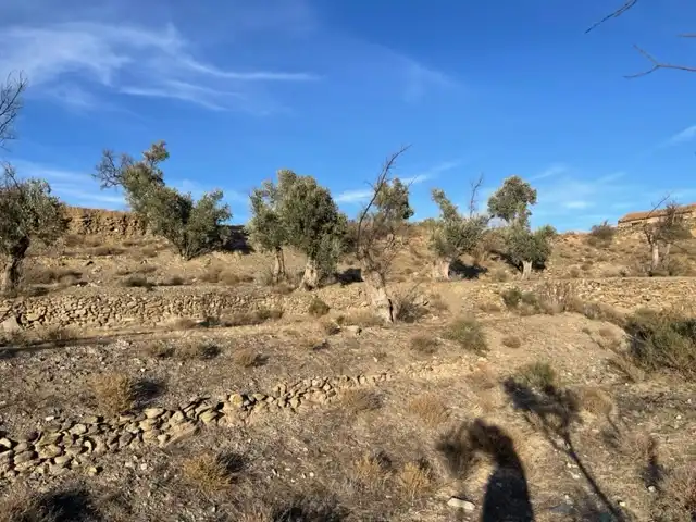 Terrenys i solars en venda a Abla, imagen 9