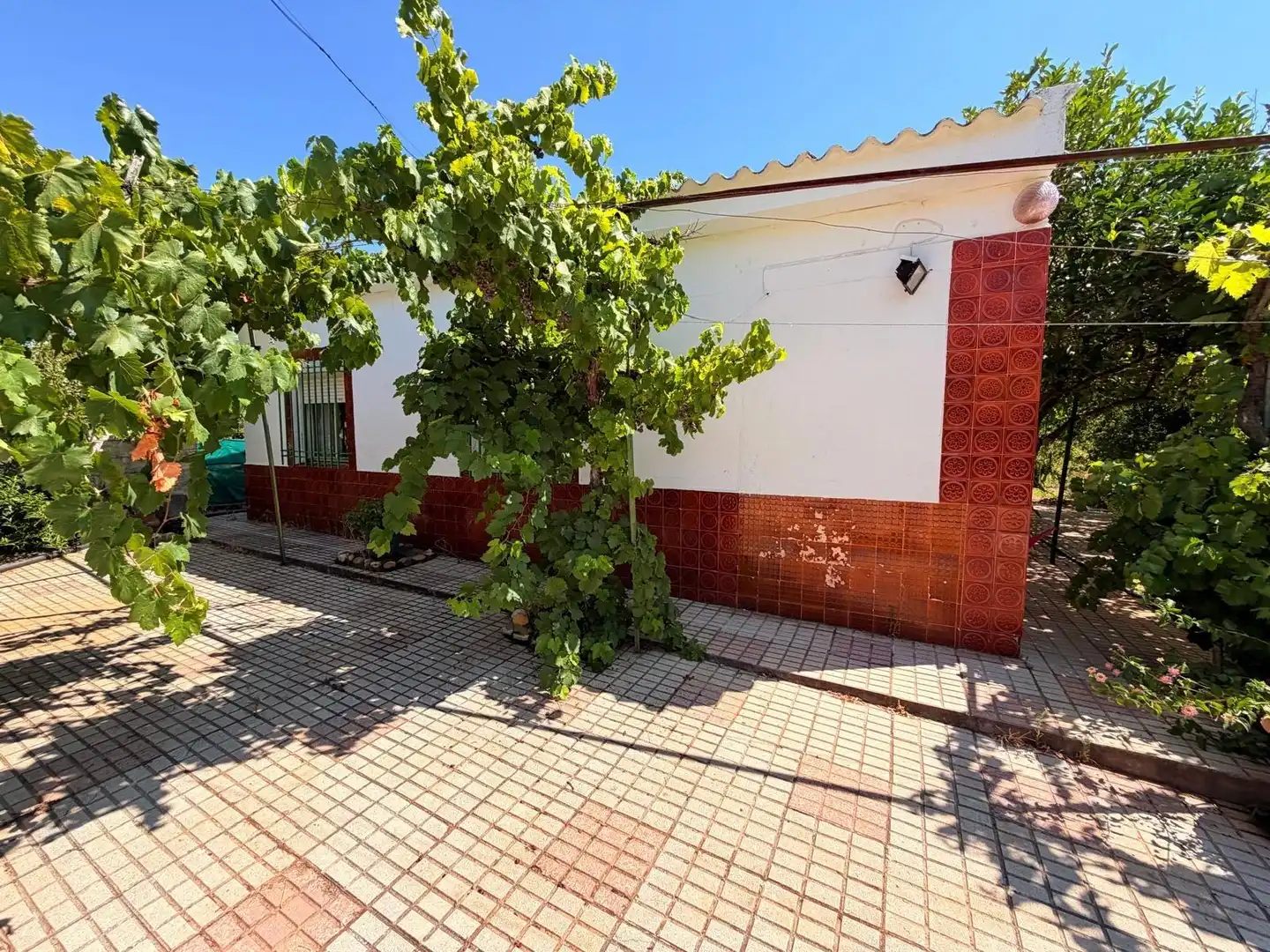 Vista exterior de Casa o chalet en venta en Valverde de Mérida con Jardín privado, Terraza y Trastero