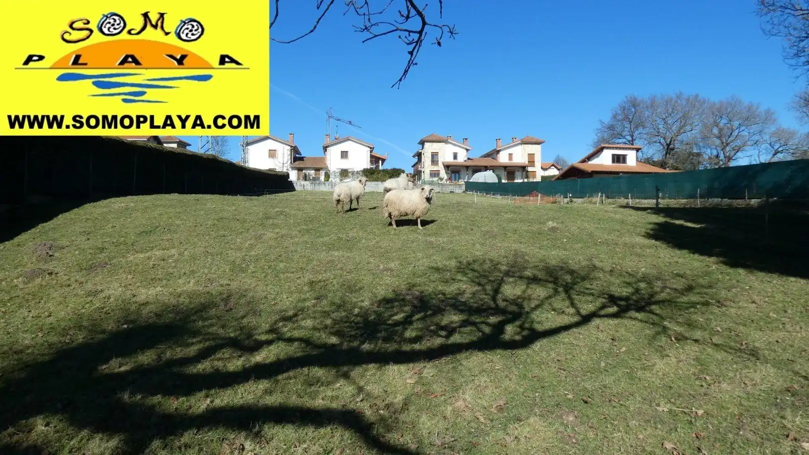 Terrenys i solars en venda a Ribamontán al Monte