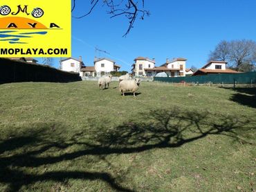 Lands and plots for sale in Ribamontán al Monte