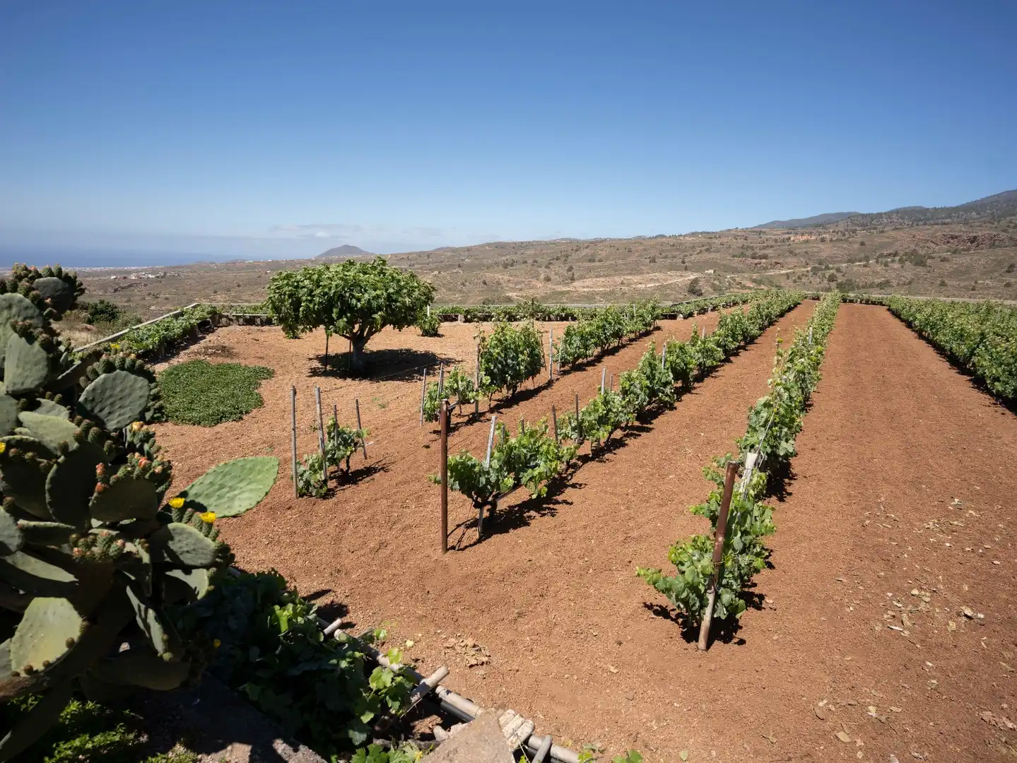 Terreno rustico in vendita a N/A, imagen 27
