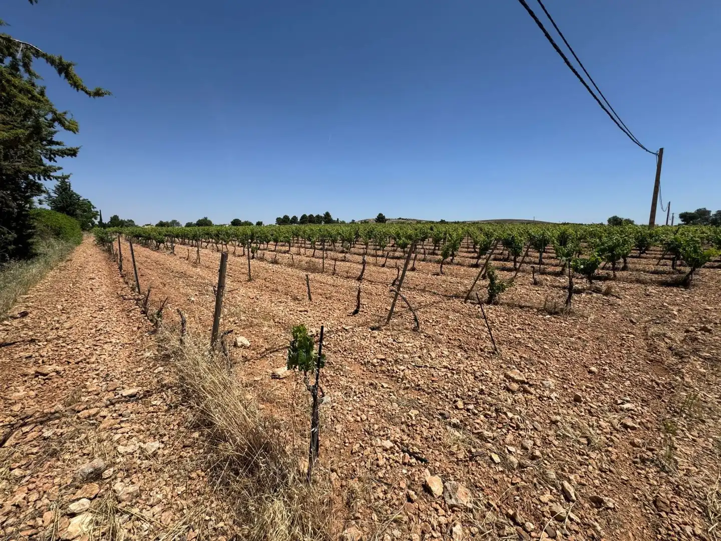 Finca rústica en venta en Valdepeñas con Piscina