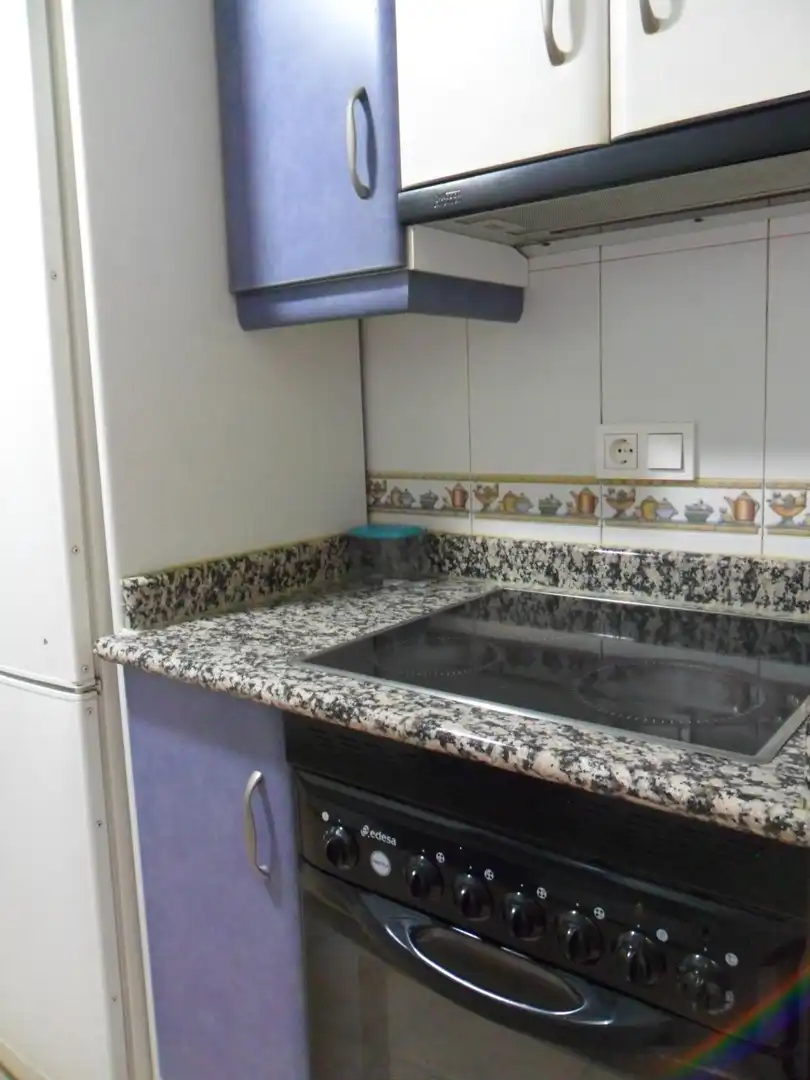 Cuina de Pis de lloguer en Granada amb Aire condicionat, Terrassa i Moblat
