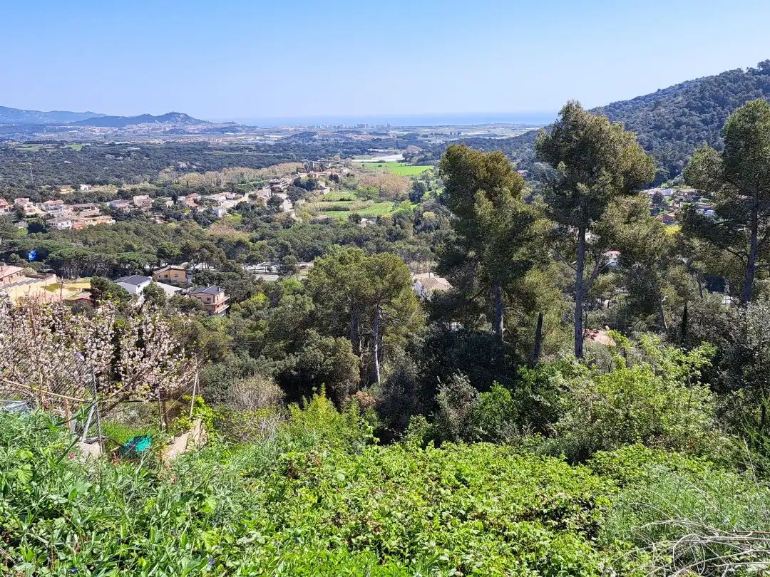 Terreno residencial en venta en Cedres 1027, imagen 3