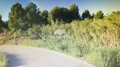 Finca rustica en venta en Calella, imatge 5