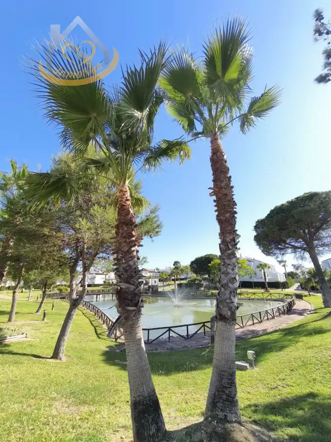 Vista exterior de Apartamento en venta en Islantilla con Aire acondicionado, Terraza y Trastero
