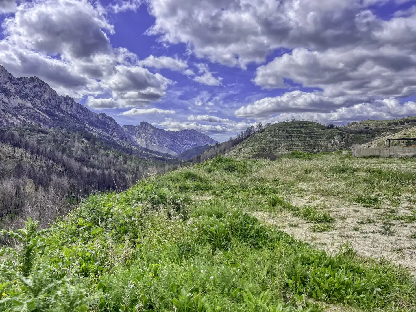 Residential for sale in Tàrbena