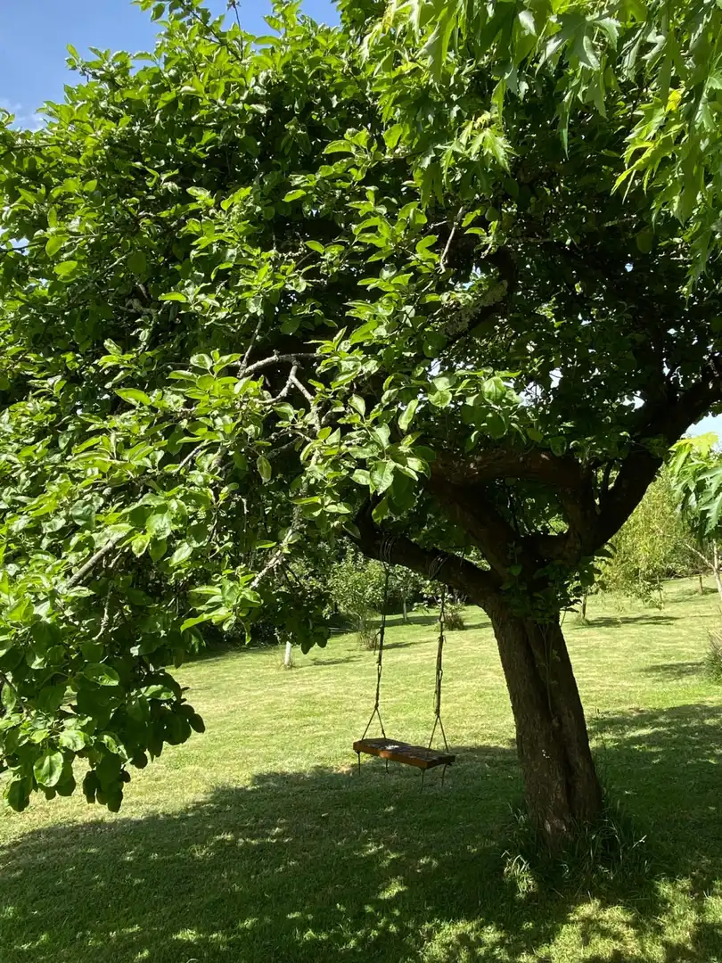 Jardí de Casa o xalet en venda en Sariego amb Calefacció, Terrassa i Traster
